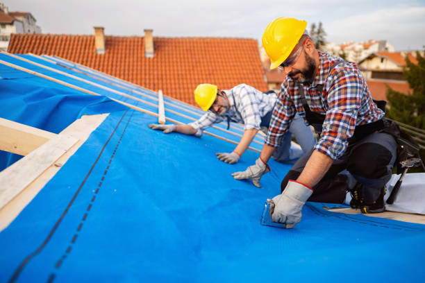 Steel Roofing